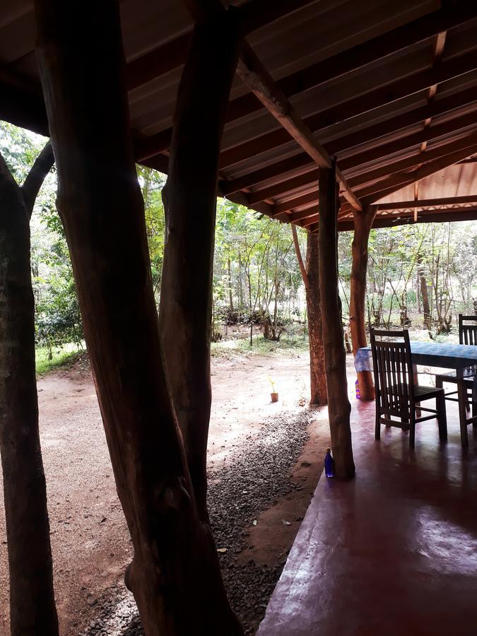 Aralu Habarana Resort Exterior foto
