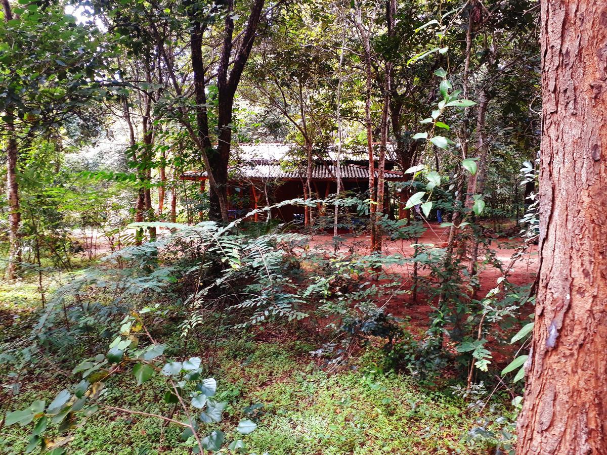 Aralu Habarana Resort Exterior foto